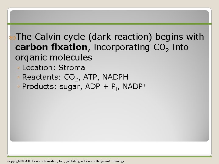  The Calvin cycle (dark reaction) begins with carbon fixation, incorporating CO 2 into