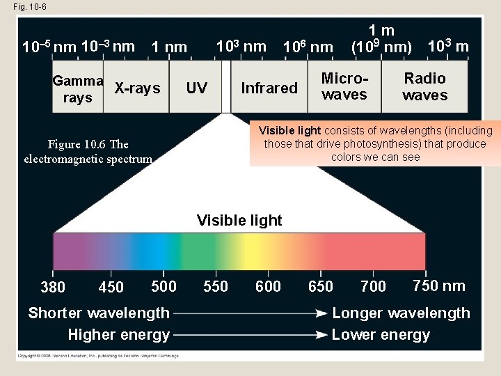 Fig. 10 -6 10– 5 nm 10– 3 nm 103 nm 1 nm Gamma