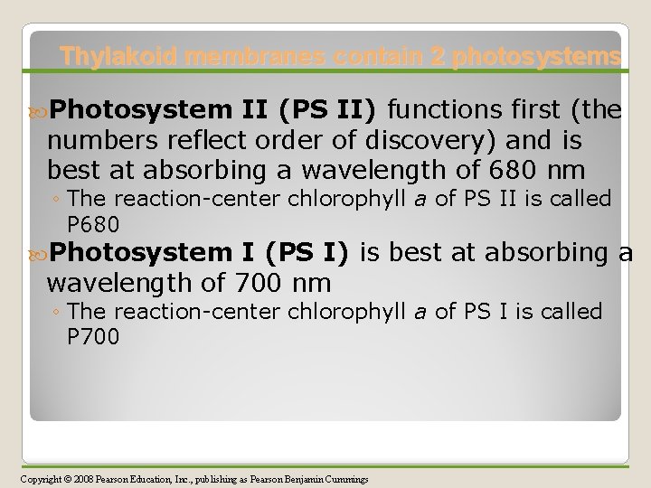 Thylakoid membranes contain 2 photosystems Photosystem II (PS II) functions first (the numbers reflect