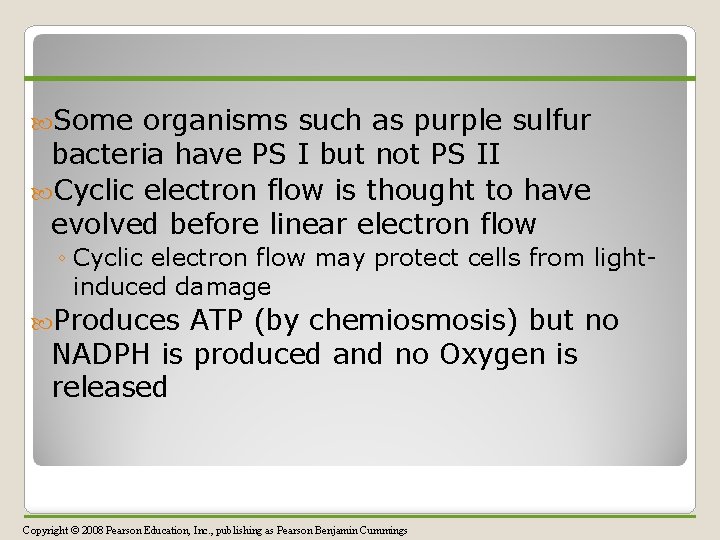  Some organisms such as purple sulfur bacteria have PS I but not PS