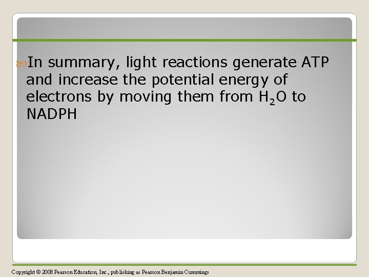  In summary, light reactions generate ATP and increase the potential energy of electrons