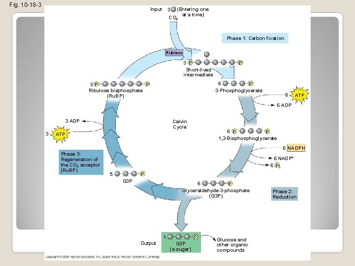 Fig. 10 -18 -3 Input 3 (Entering one at a time) CO 2 Phase