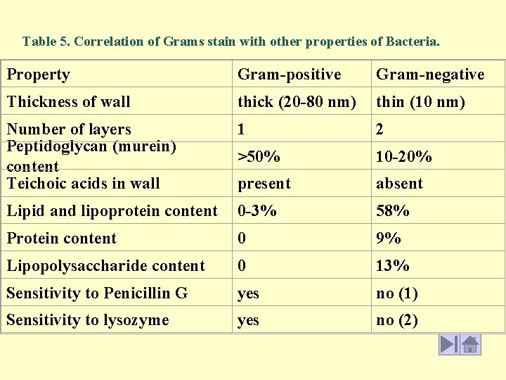 Table 5. Correlation of Grams stain with other properties of Bacteria. Property Gram-positive Gram-negative