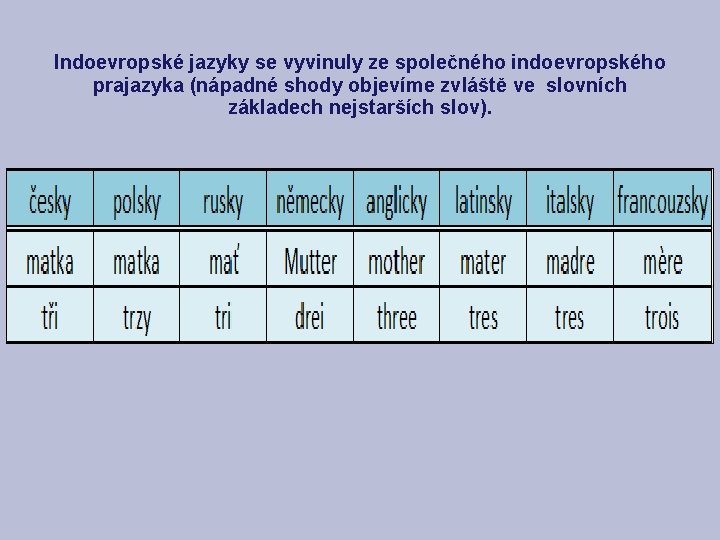 Indoevropské jazyky se vyvinuly ze společného indoevropského prajazyka (nápadné shody objevíme zvláště ve slovních
