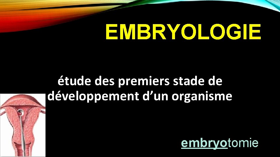EMBRYOLOGIE étude des premiers stade de développement d’un organisme embryotomie 