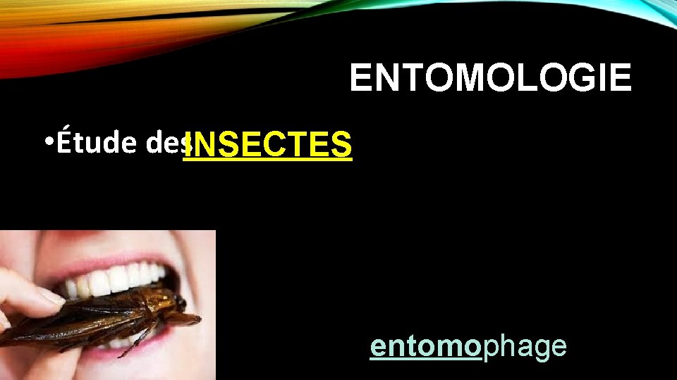 ENTOMOLOGIE • Étude des. INSECTES entomophage 