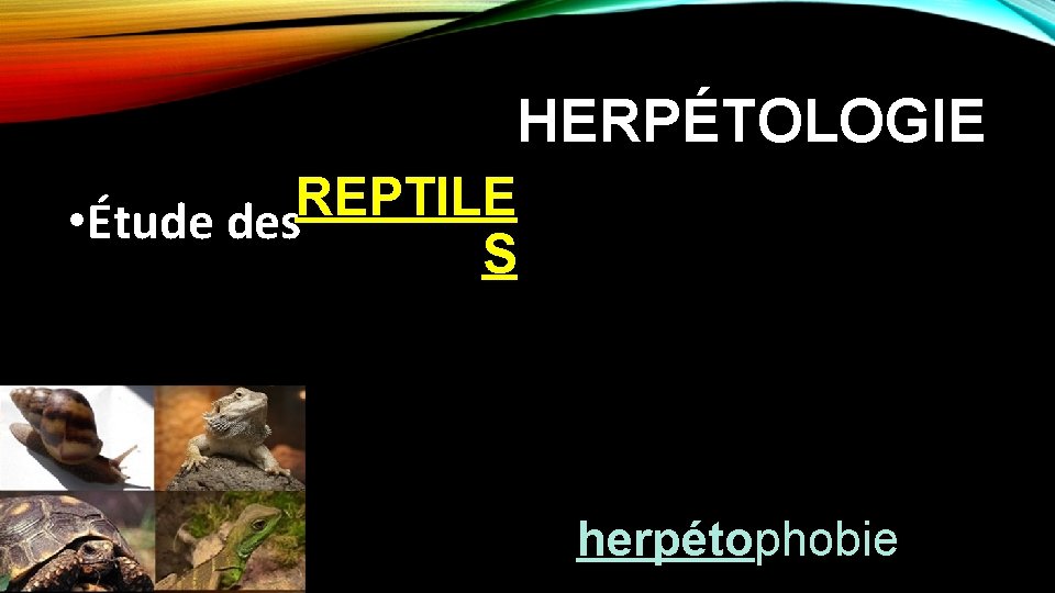 HERPÉTOLOGIE REPTILE • Étude des S herpétophobie 