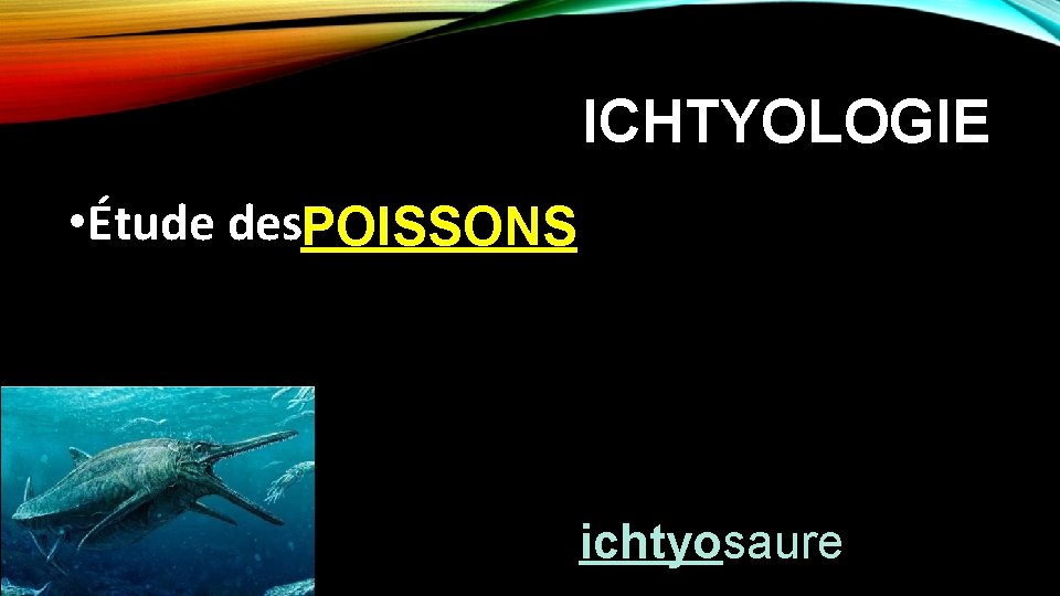 ICHTYOLOGIE • Étude des. POISSONS ichtyosaure 