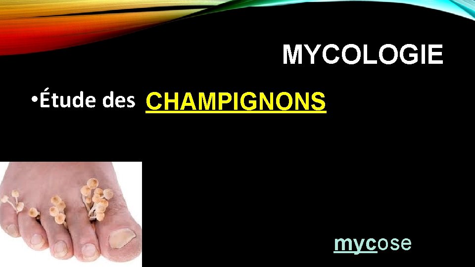 MYCOLOGIE • Étude des CHAMPIGNONS mycose 