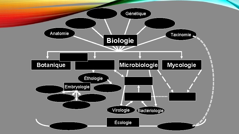 Génétique Anatomie Taxinomie Biologie Microbiologie Botanique Éthologie Embryologie Virologie Écologie Bactériologie Mycologie 