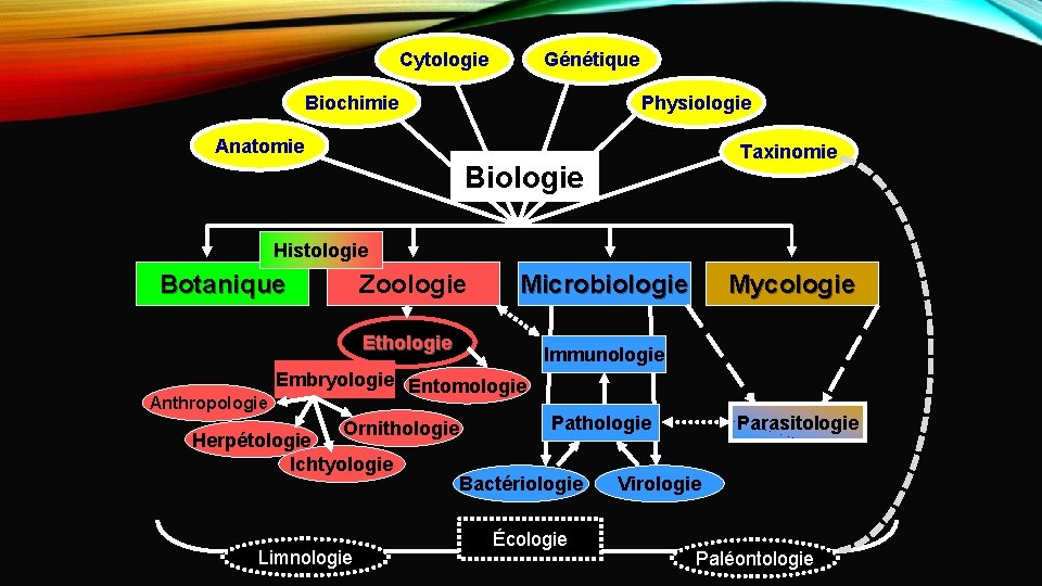 Cytologie Génétique Biochimie Physiologie Anatomie Taxinomie Biologie Histologie Botanique Zoologie Microbiologie Ethologie Anthropologie Mycologie