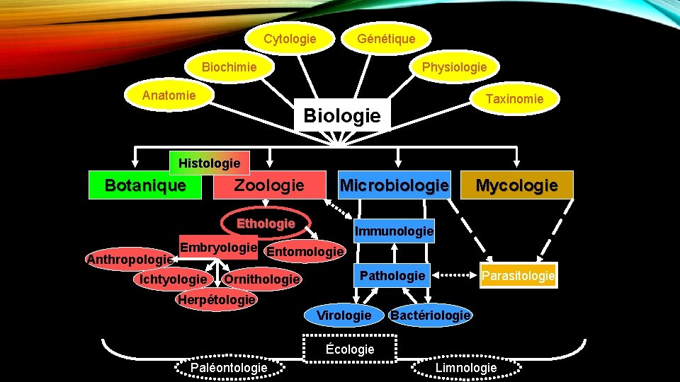 Cytologie Génétique Biochimie Physiologie Anatomie Taxinomie Biologie Histologie Botanique Zoologie Microbiologie Ethologie Anthropologie Mycologie