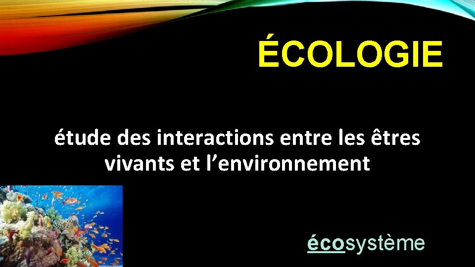 ÉCOLOGIE étude des interactions entre les êtres vivants et l’environnement écosystème 