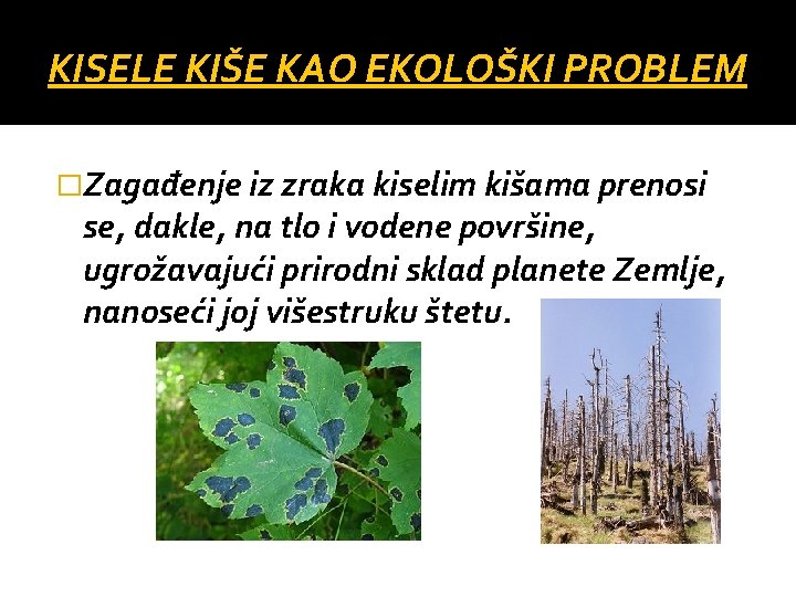 KISELE KIŠE KAO EKOLOŠKI PROBLEM �Zagađenje iz zraka kiselim kišama prenosi se, dakle, na