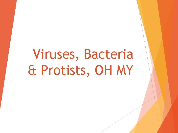 Viruses, Bacteria & Protists, OH MY 
