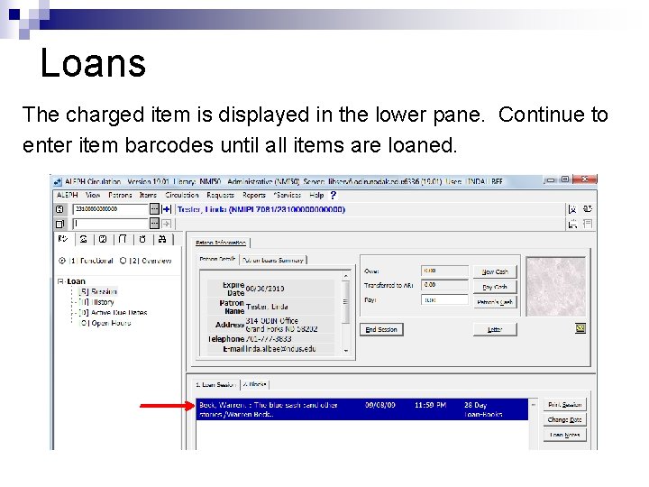 Loans The charged item is displayed in the lower pane. Continue to enter item