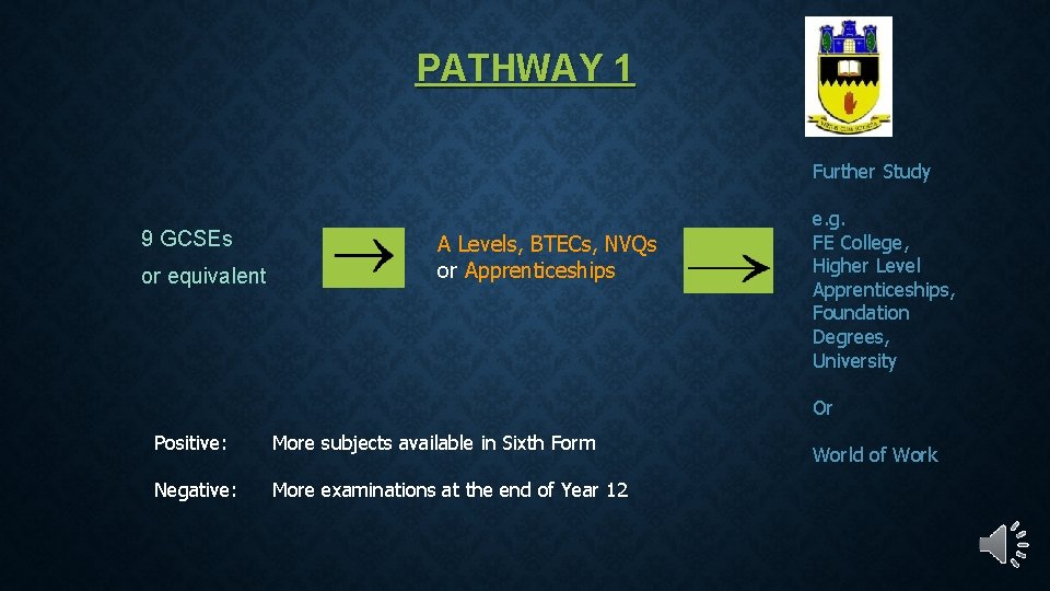 PATHWAY 1 Further Study 9 GCSEs or equivalent A Levels, BTECs, NVQs or Apprenticeships