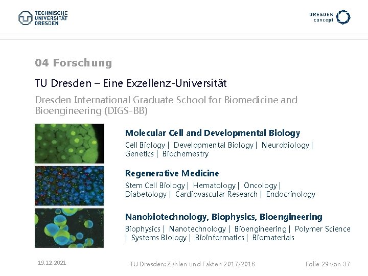 04 Forschung TU Dresden – Eine Exzellenz-Universität Dresden International Graduate School for Biomedicine and