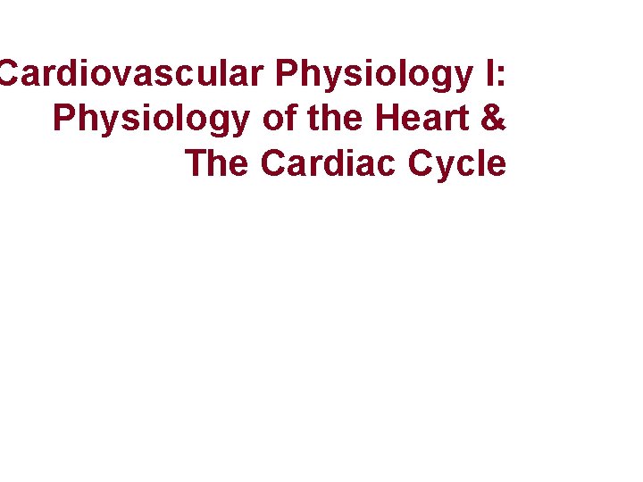 Cardiovascular Physiology I: Physiology of the Heart & The Cardiac Cycle 