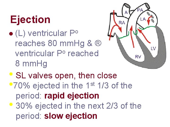 Ejection (L) ventricular Po reaches 80 mm. Hg & ® ventricular Po reached 8