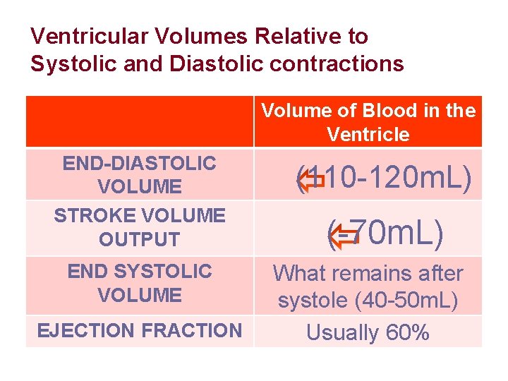 Ventricular Volumes Relative to Systolic and Diastolic contractions Volume of Blood in the Ventricle