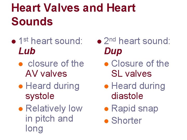 Heart Valves and Heart Sounds l 1 st heart sound: Lub l closure of