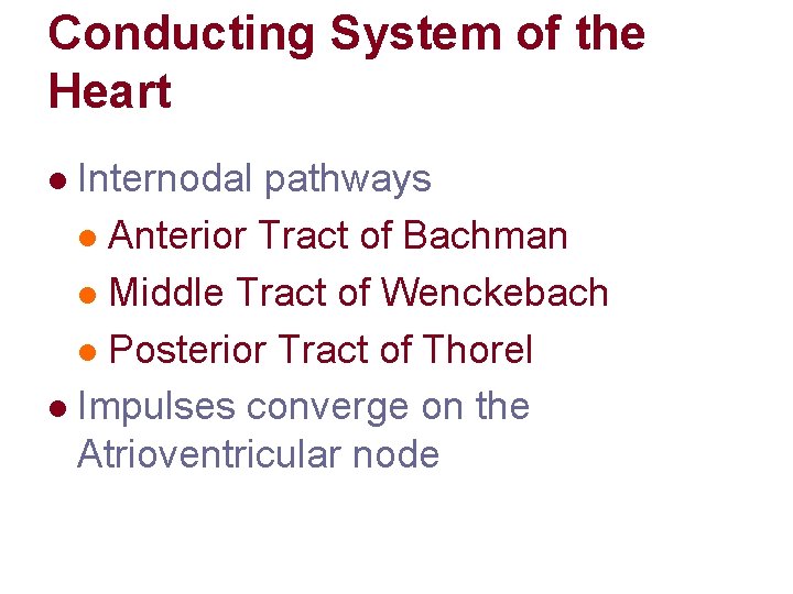 Conducting System of the Heart Internodal pathways l Anterior Tract of Bachman l Middle