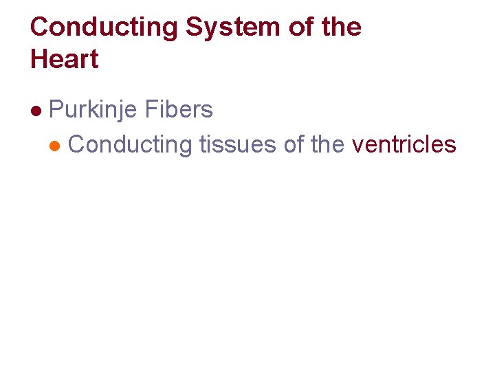 Conducting System of the Heart l Purkinje Fibers l Conducting tissues of the ventricles