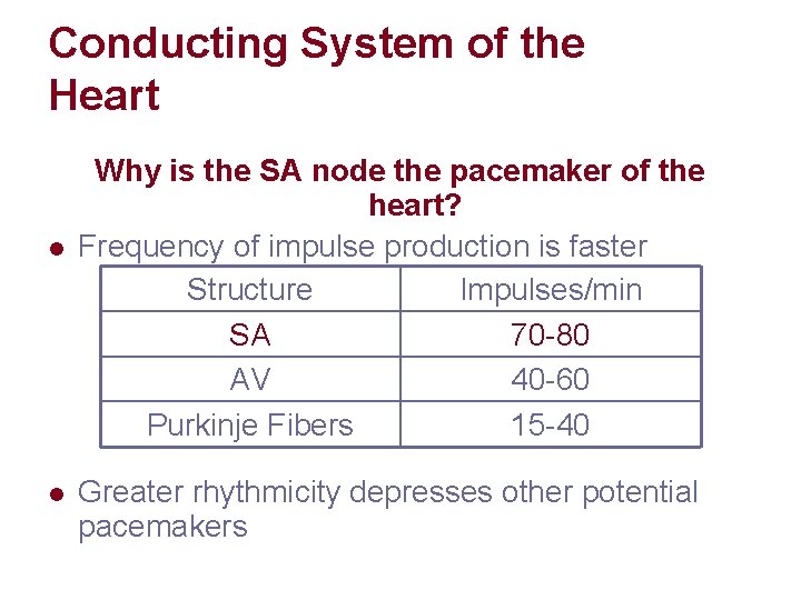 Conducting System of the Heart l l Why is the SA node the pacemaker