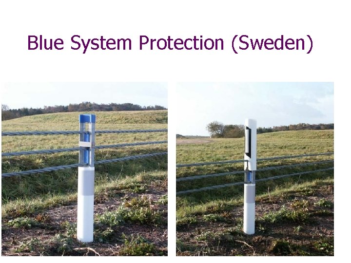 Blue System Protection (Sweden) 