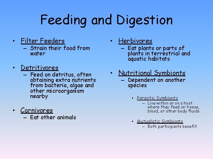 Feeding and Digestion • Filter Feeders – Strain their food from water • Detritivores