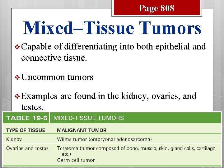 Page 808 Mixed–Tissue Tumors v Capable of differentiating into both epithelial and connective tissue.
