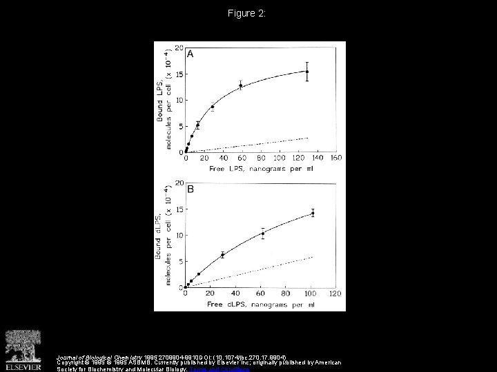 Figure 2: Journal of Biological Chemistry 1995 2709904 -9910 DOI: (10. 1074/jbc. 270. 17.