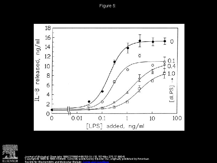 Figure 5: Journal of Biological Chemistry 1995 2709904 -9910 DOI: (10. 1074/jbc. 270. 17.