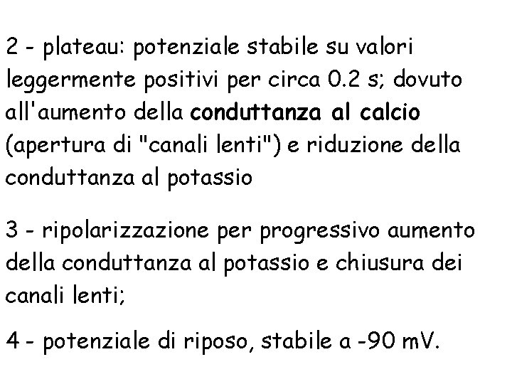 2 - plateau: potenziale stabile su valori leggermente positivi per circa 0. 2 s;