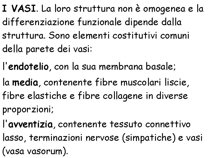 I VASI. La loro struttura non è omogenea e la differenziazione funzionale dipende dalla