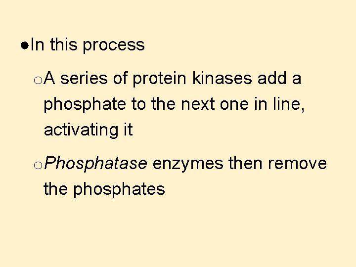 ●In this process o. A series of protein kinases add a phosphate to the