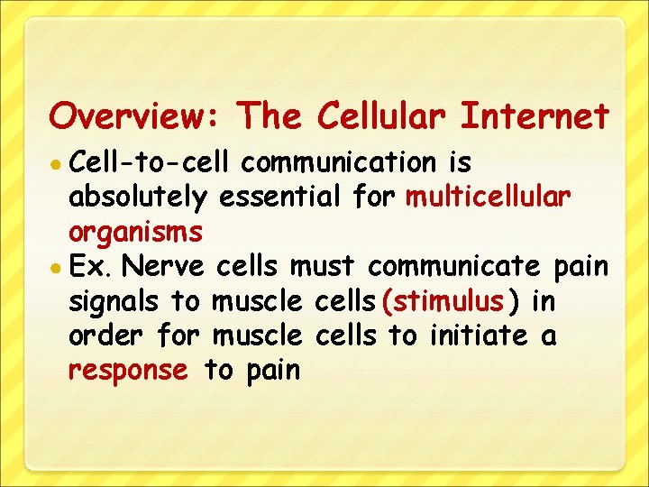 Overview: The Cellular Internet ● Cell-to-cell communication is absolutely essential for multicellular organisms ●