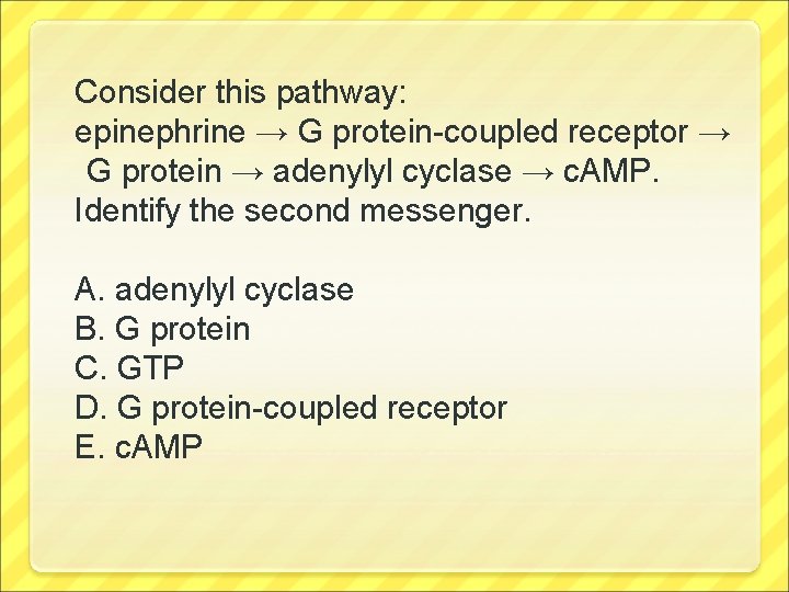 Consider this pathway: epinephrine → G protein-coupled receptor → G protein → adenylyl cyclase