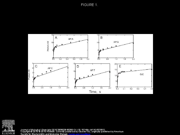 FIGURE 1. Journal of Biological Chemistry 2015 2908028 -8038 DOI: (10. 1074/jbc. M 115.