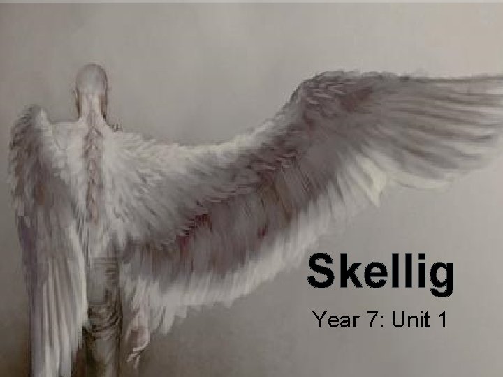 Skellig Year 7: Unit 1 