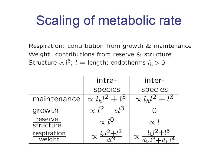 Scaling of metabolic rate 