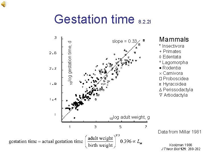 slope = 0. 33 10 log gestation time, d Gestation time 8. 2. 2