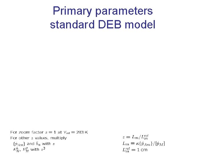 Primary parameters standard DEB model 