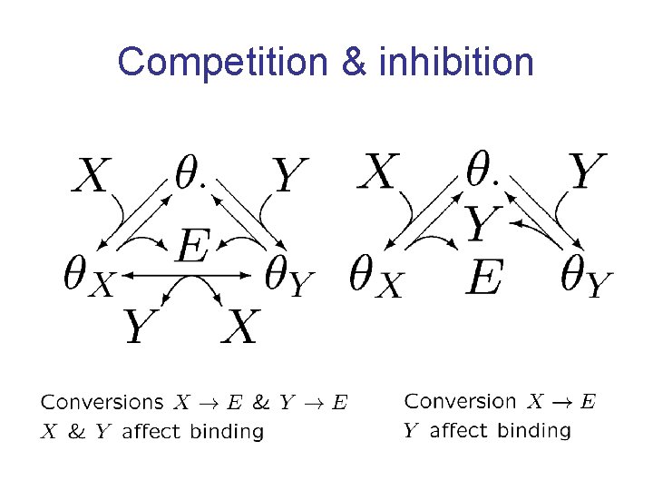 Competition & inhibition 