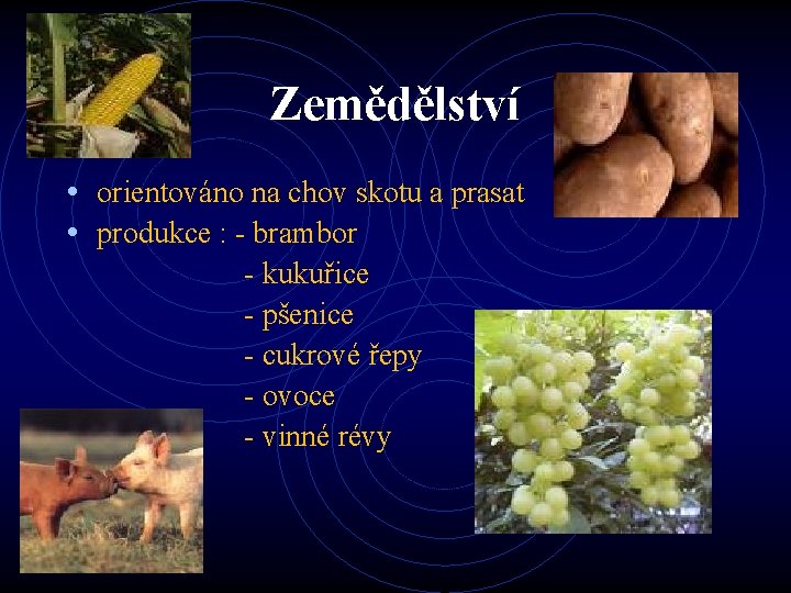 Zemědělství • orientováno na chov skotu a prasat • produkce : - brambor -