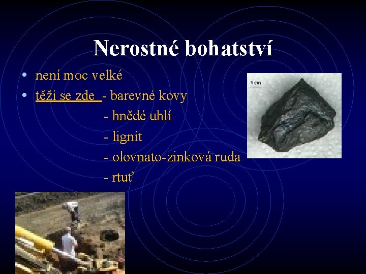 Nerostné bohatství • není moc velké • těží se zde - barevné kovy -