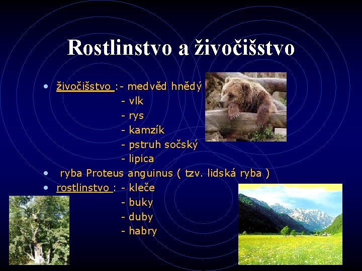 Rostlinstvo a živočišstvo • živočišstvo : - medvěd hnědý - vlk - rys -