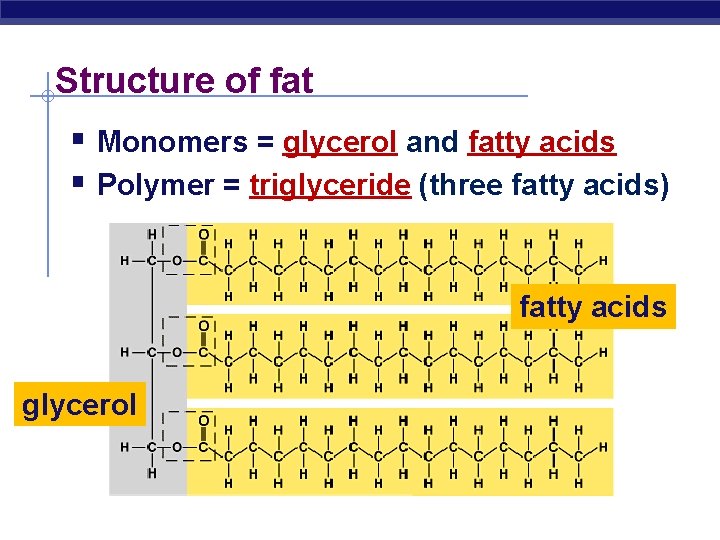 Structure of fat § Monomers = glycerol and fatty acids § Polymer = triglyceride