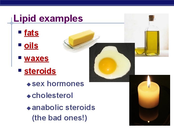 Lipid examples § fats § oils § waxes § steroids u sex hormones u